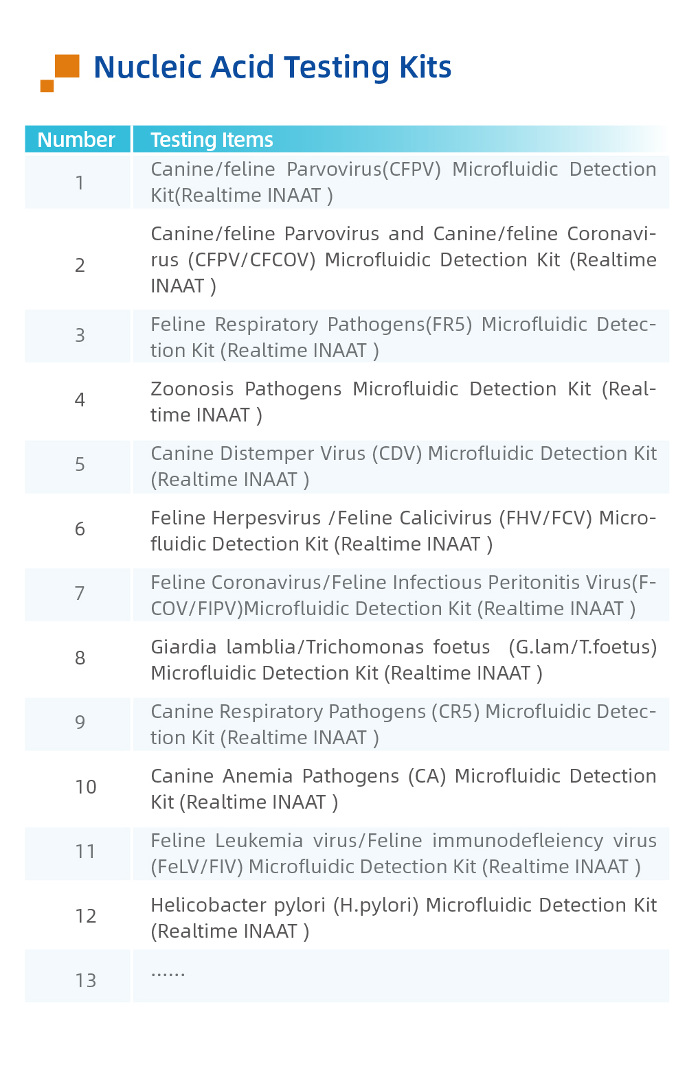 宠物品牌-线上物料-英文-20240715_画板 1 副本 8.jpg