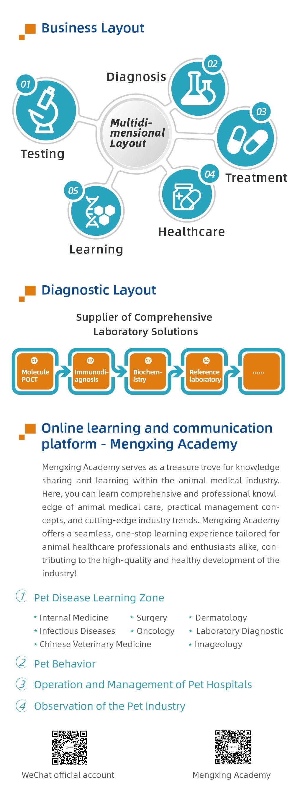 宠物品牌-线上物料-英文-20240715_画板 1 副本 4.jpg