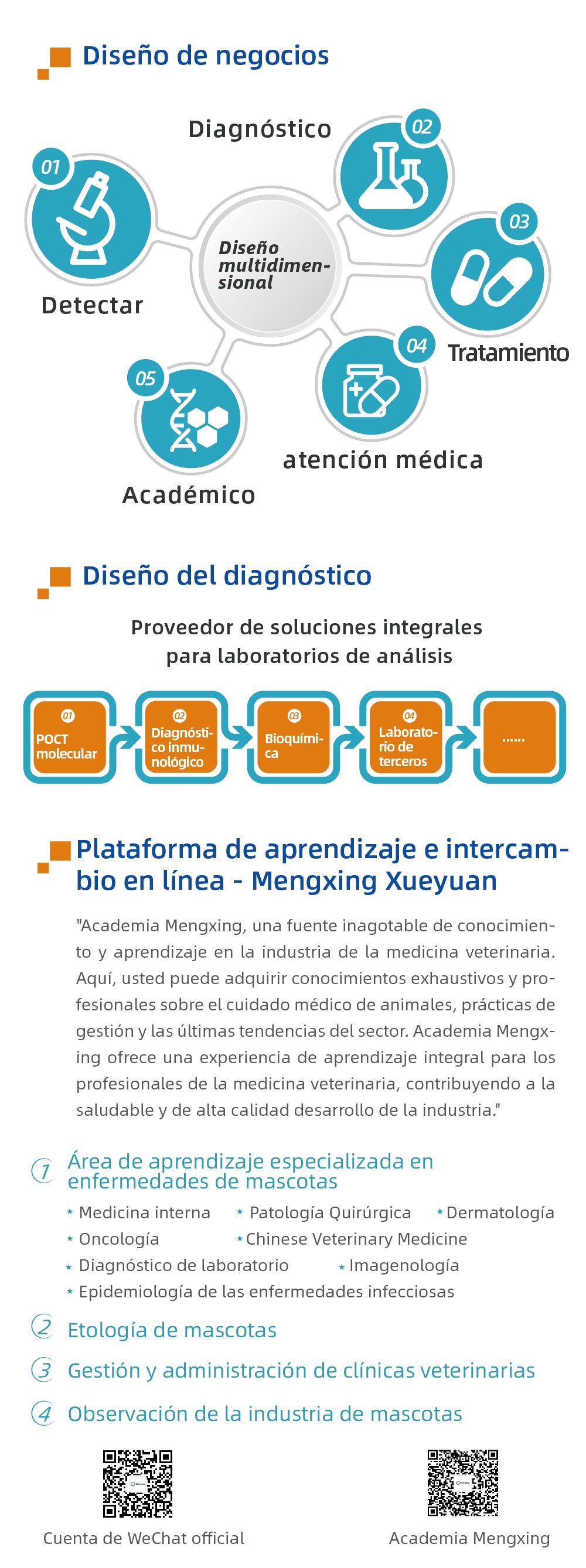 宠物品牌-线上物料-西班牙语-20240920_画板 1 副本 4.jpg