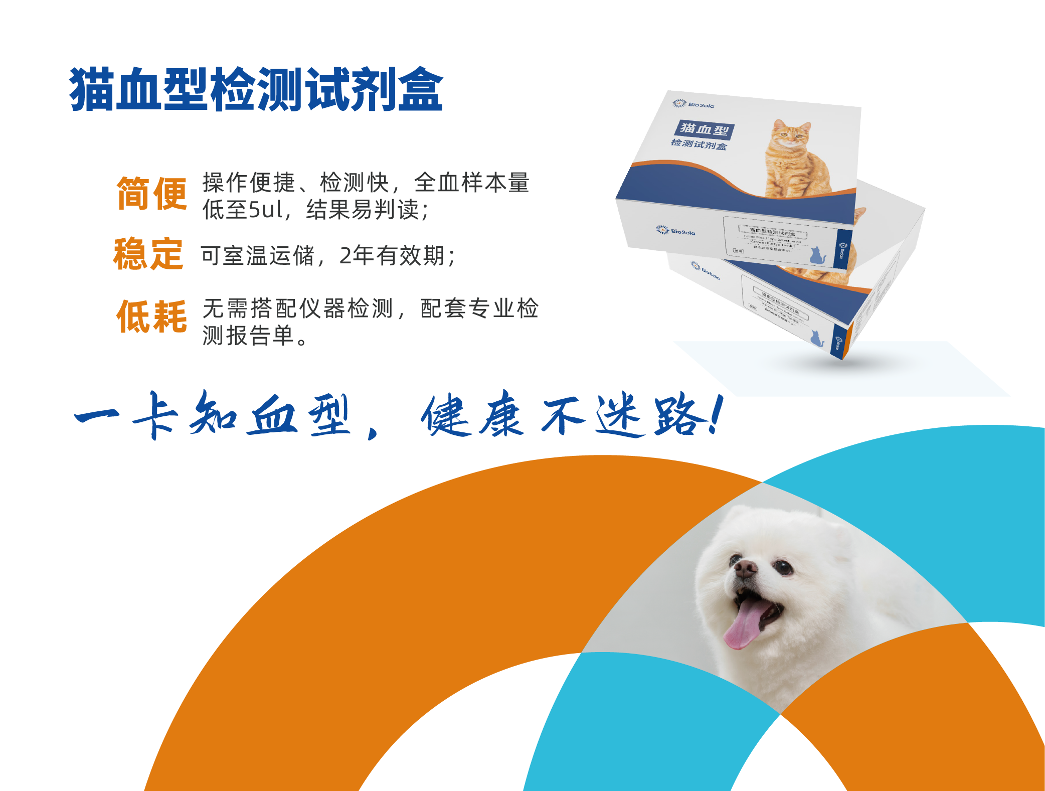 宠物品牌-线上物料-20240604_画板 1 副本.png