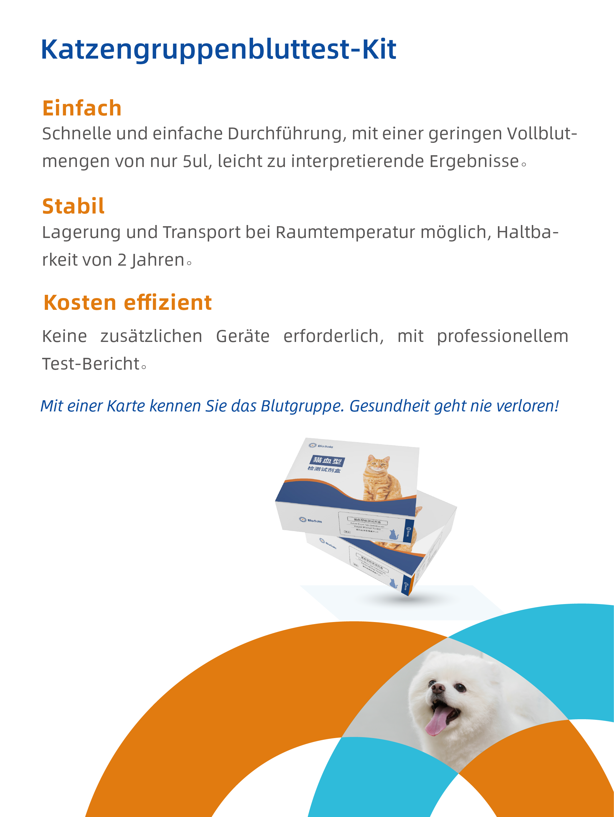 宠物品牌-线上物料-英文-20240909_画板 1 副本.png