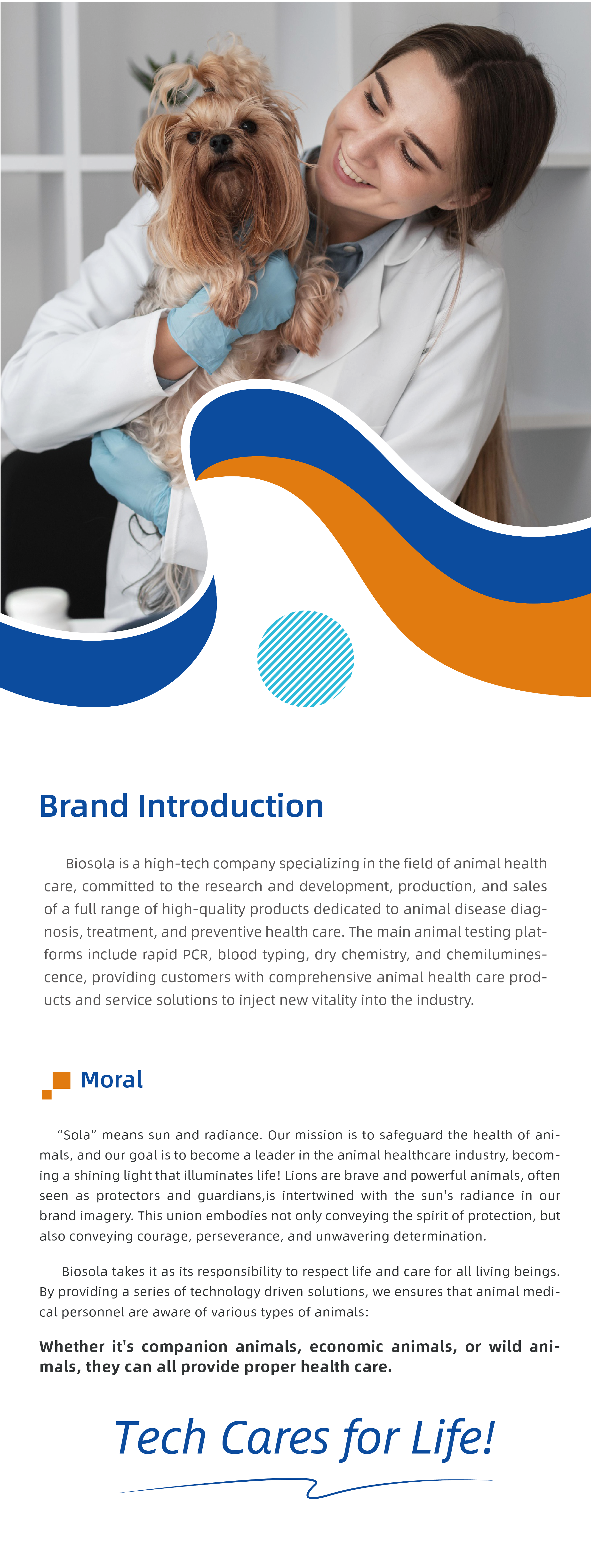 宠物品牌-线上物料-英文-20240715_画板 1 副本 6_画板 1 副本 6.png